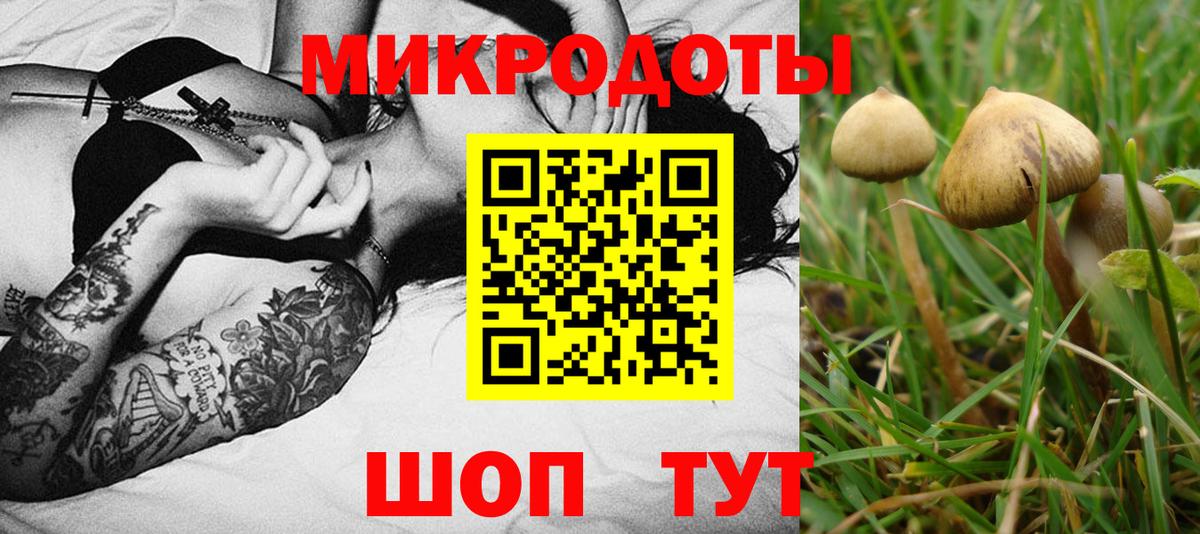 Галлюциногенные грибы ЛСД Камышлов