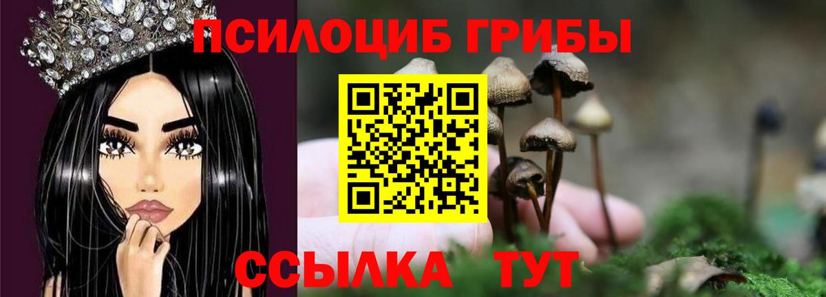 Камышлов  Галлюциногенные грибы мухоморы  закладка  Галлюциногенные грибы мицелий  Вход с VPN 